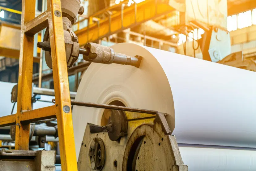 Trim Loss, A Symptom: Rethinking Waste in Paper Manufacturing